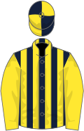Dark blue and yellow stripes, yellow sleeves, quartered cap