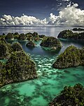 Image 27Piaynemo karst archipelago in Raja Ampat, Southwest Papua (from Tourism in Indonesia)