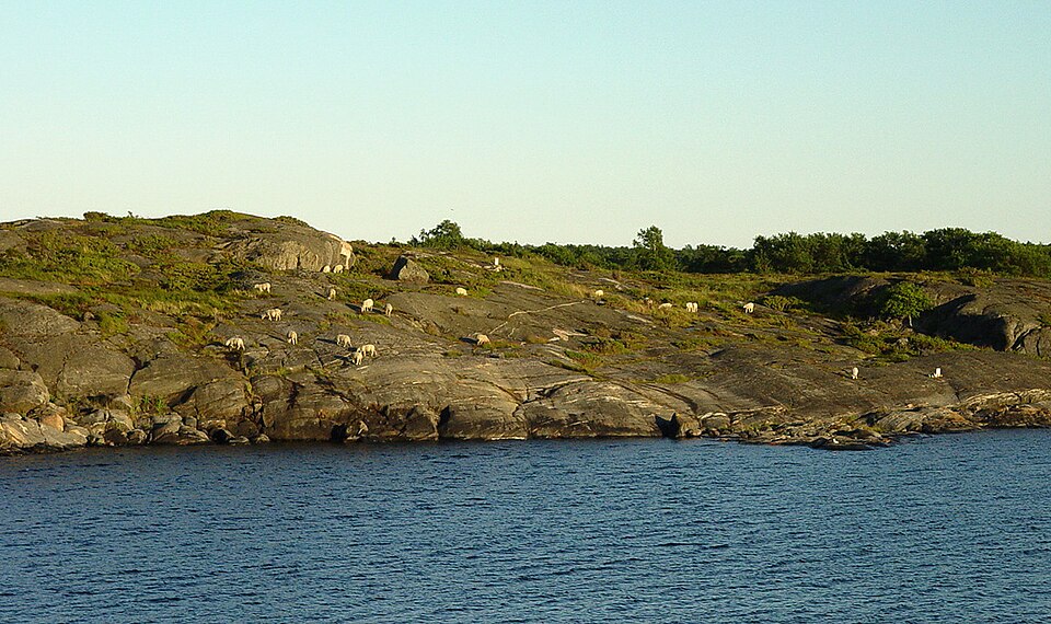File:SoedraLinjen 15.jpg
