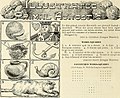 Thumbnail for version as of 01:08, 9 October 2015