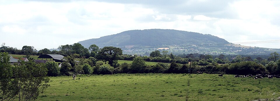 File:TaraHill1590c.jpg