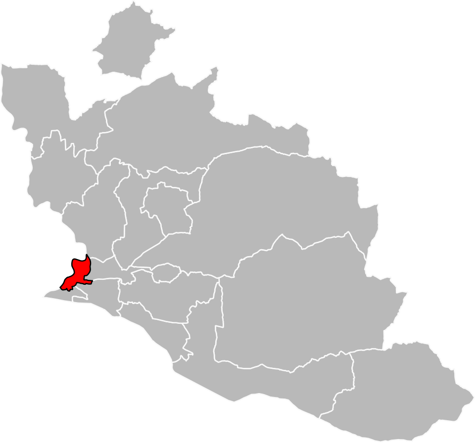 File:Vaucluse - Canton Avignon-2 2015.svg
