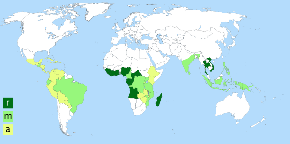 File:Carte Coffea robusta arabic.svg