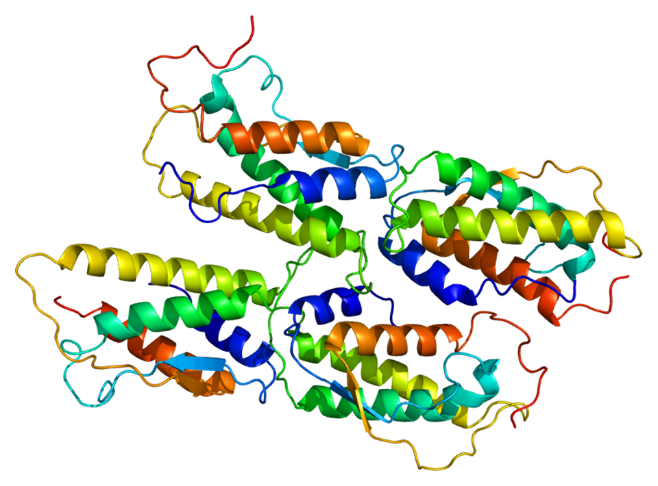 File:Protein KITLG PDB 1exz.png