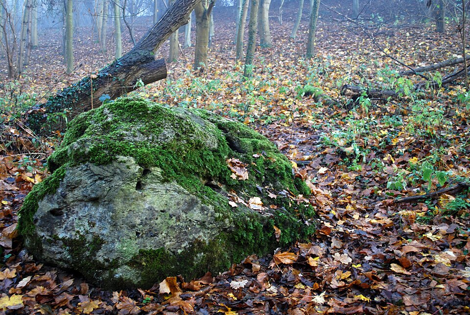 File:The Great Stone of Lyng.jpg