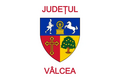 Flag of Vâlcea County