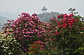 Thumbnail for version as of 01:12, 13 June 2012