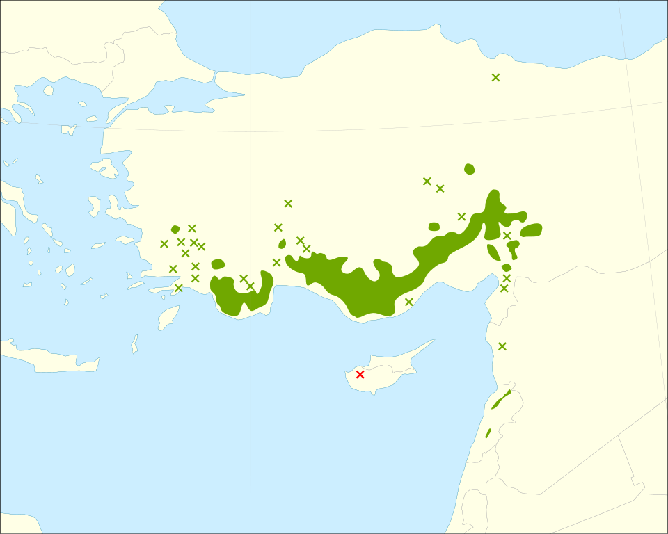 File:Cedrus libani range.svg