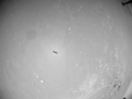 Thumbnail for version as of 11:36, 29 June 2021