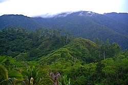 Northern Sierra Madre Natural Park