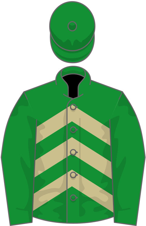 File:Owner Ecurie Patrick Nicot.svg