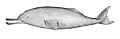 Thumbnail for version as of 16:15, 12 August 2010