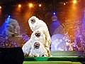 Thumbnail for version as of 02:06, 10 November 2015