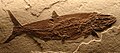 Thumbnail for version as of 20:14, 27 August 2010