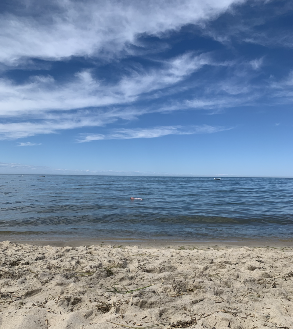 File:Cape Cod Beach.png