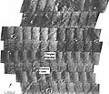 Thumbnail for version as of 21:40, 2 December 2009