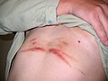 Thumbnail for version as of 01:25, 23 September 2009