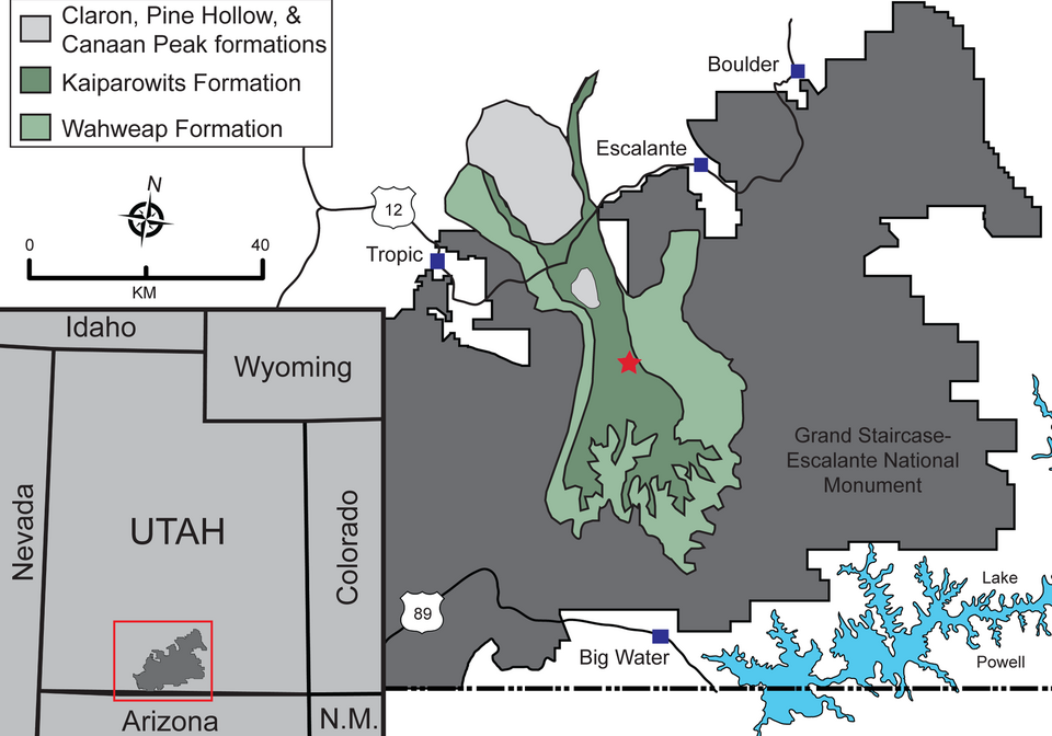 File:Kosmoceratops map.png
