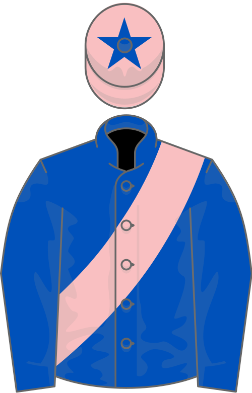 File:Owner Mrs P Shanahan.svg