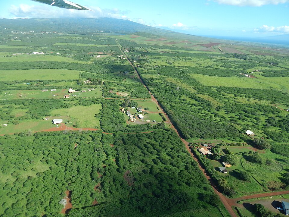 File:Starr-141025-2538-Leucaena leucocephala-aerial view-Hoolehua-Molokai (24880224999).jpg
