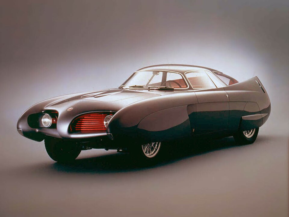 File:Bat5.jpg