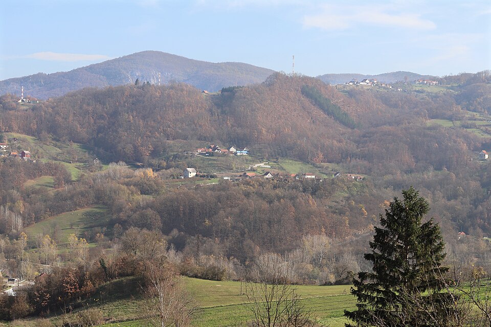 File:Dljin, Lučani 01.jpg