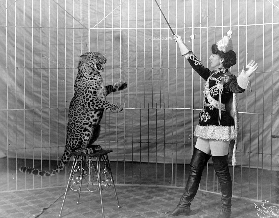 File:Female animal trainer and leopard, c1906.jpg