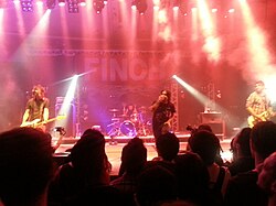 Finch performing in 2014