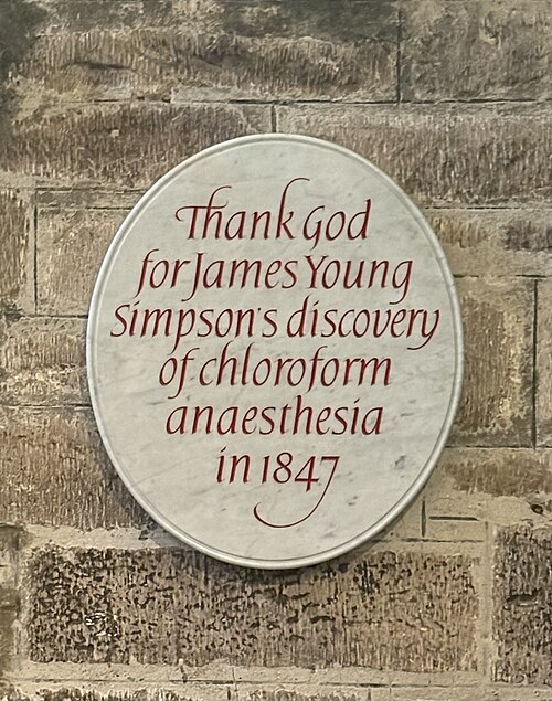 File:Jamesyoungsimpsonplaque.jpg