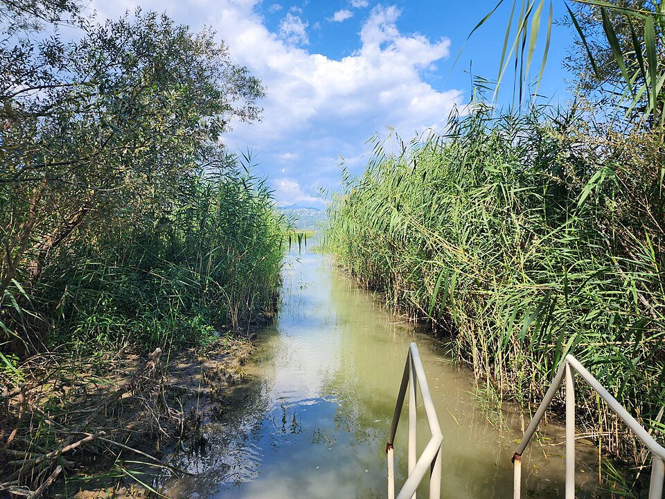 File:Lake Skadar 2025.jpg