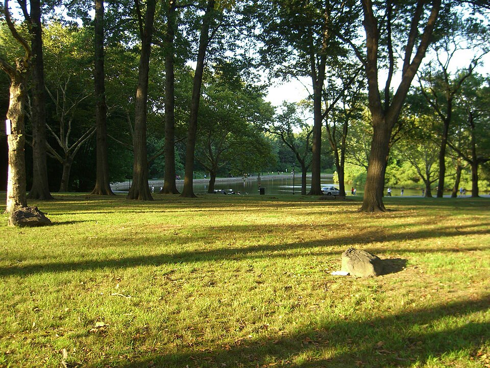 File:8.7.09BraddockParkByLuigiNovi5.jpg