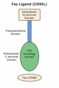 Thumbnail for version as of 20:33, 16 April 2025