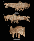 Thumbnail for version as of 11:18, 9 February 2022
