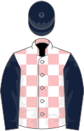 Pink and white check, dark blue sleeves and cap