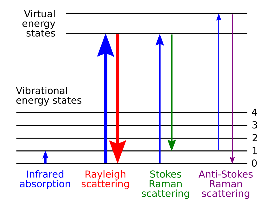 File:Raman energy levels.svg