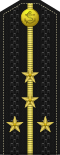 Kapitan-leýtenant(Turkmen Naval Forces)