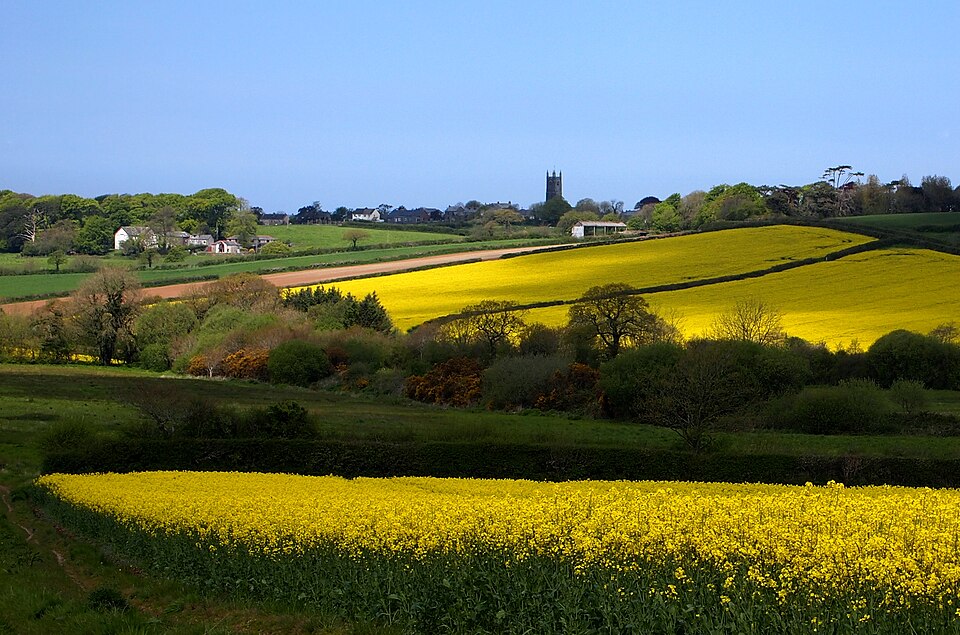 File:St mabyn fields.JPG
