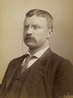 Black-and-white photographic portrait of Benjamin Harrison