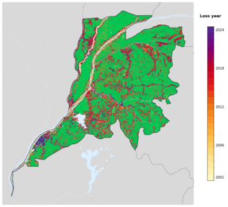 Map of Équateur showing tree-cover loss years, with forest remaining since 2000 in green and loss years shaded yellow through purple.