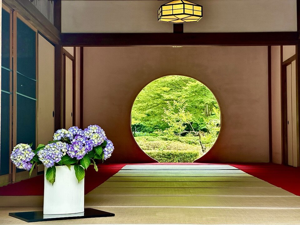File:Hydrangea and Satori no Mado.jpg