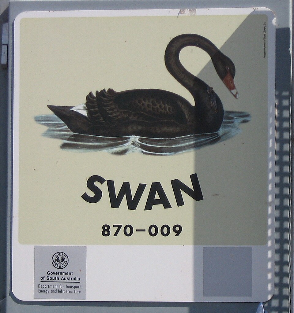 File:Mannum ferry-Swan sign.jpg
