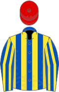 Royal blue and yellow stripes, red cap