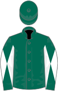 Dark green, dark green and white diabolo on sleeves