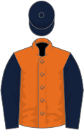 Orange, dark blue sleeves, dark blue cap