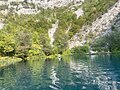 Bunica