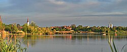 Panorama of Deliblato