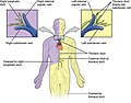 Thumbnail for version as of 10:15, 14 December 2013