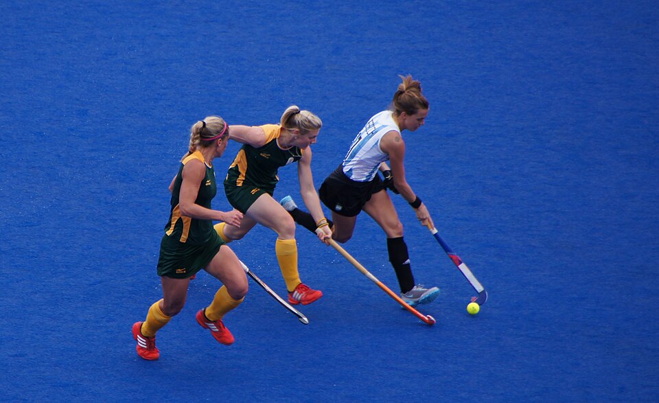 File:Argentina v South Africa (7718239548).jpg