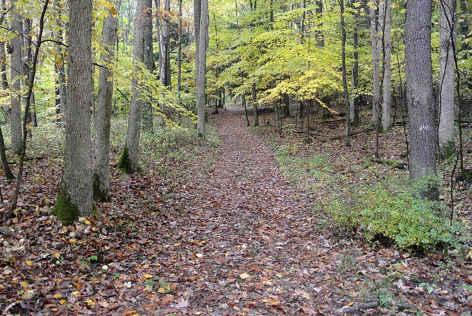 File:Braddock Road Fort Necessity PA.jpg