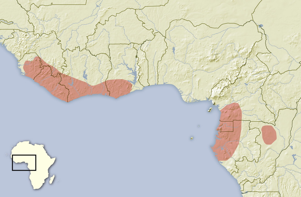 File:Epixerus ebii distribution map.png